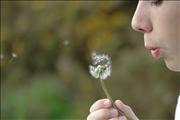 Make a wish
